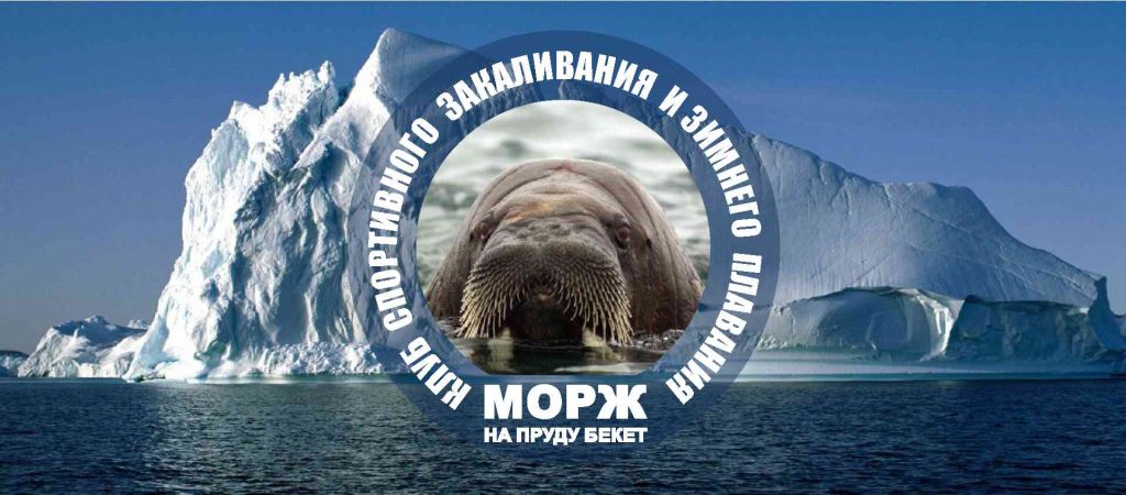 Моржевание в стиле ню (67 фото)